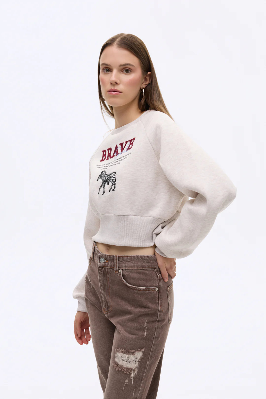 Zebra Nakışlı Sırtı Fermuarlı Kadın Sweatshirt Bej